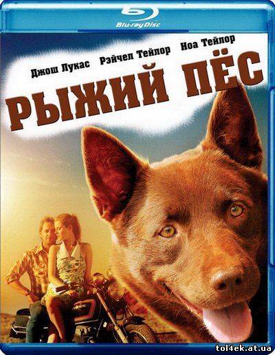 Рыжий пес / Red Dog (Крив Стендерс) [2011 г., драма, комедия, семейный, HDRip, Лицензия]